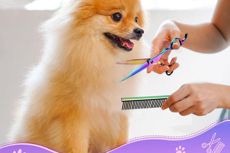 Professional Dog Grooming Scissors Set, 7 Inch/8 Inch Pet Grooming Scissors Chunkers Shears for Dog, Curved Dog Grooming Scissors, Thinning Shears for Dog with Grooming Comb